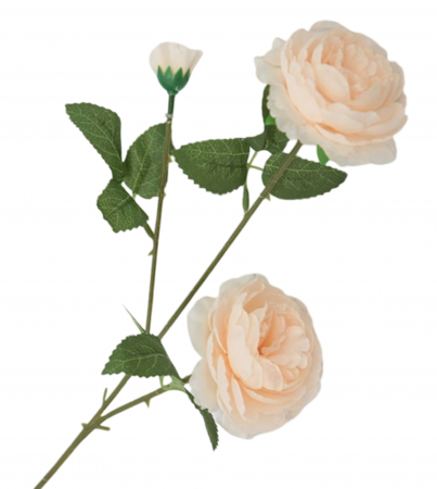 img-attr