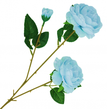 img-attr