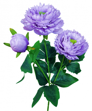 img-attr