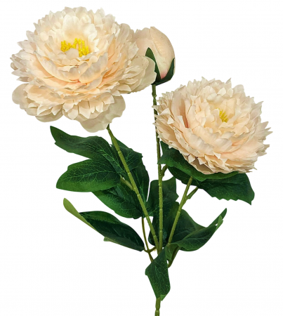 img-attr