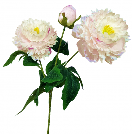 img-attr