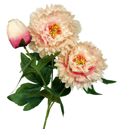 img-attr