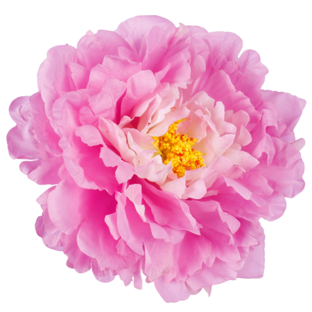 Capete Flori Artificiale - Bujor din matase, Cap ⌀ 16cm