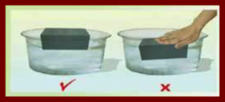 Burete umed pentru flori - Ambalat individual [1]