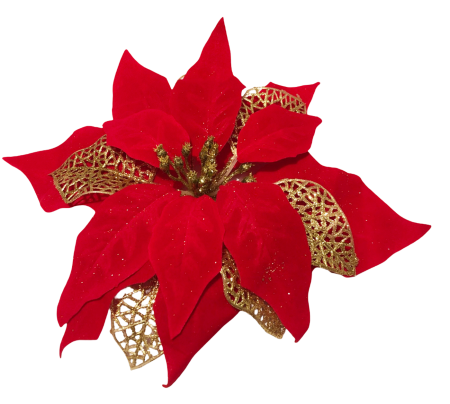 Flori - Craciunita din catifea, Cap ⌀ 25cm