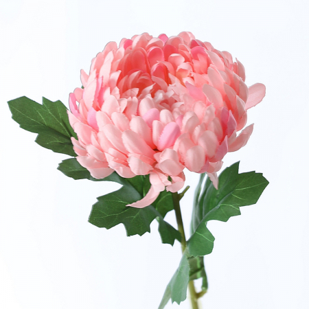 img-attr
