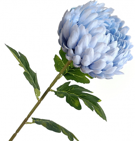 img-attr