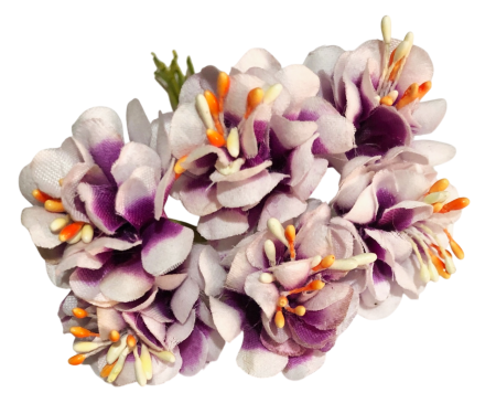 img-attr