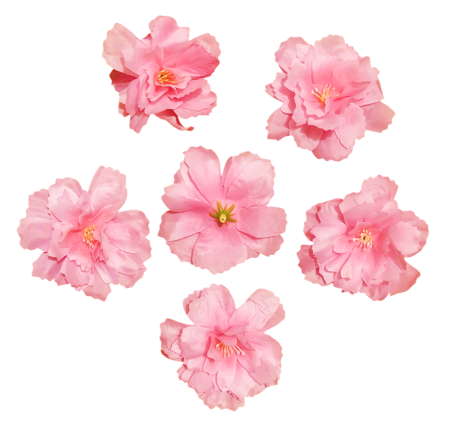 Flori - Floare de Cires din matase, Cap ⌀ 7cm - SET 5 buc