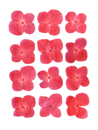 img-attr