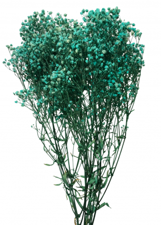 img-attr