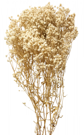 Plante si Flori Conservate / Uscate - Floarea Miresei (Gypsophila) Stabilizata - Buchet 120g