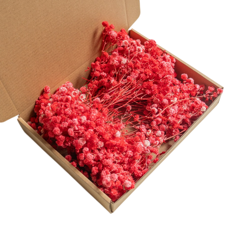 Flori Conservate - Floarea Miresei (Gypsophila) Stabilizata, L10cm - Buchet 100 fire