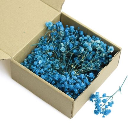 Flori Conservate - Floarea Miresei (Gypsophila) Stabilizata, L10cm - Buchet 50 fire