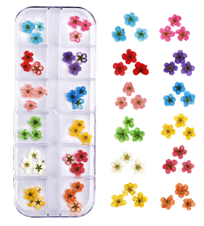 Flori si Frunze Uscate - Flori decorative uscate - 36buc - Plum Flowers