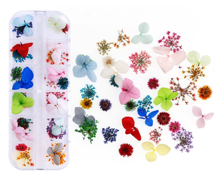Flori si Frunze Uscate - Flori decorative uscate - 36buc - Lace Flowers, Hydrangeas