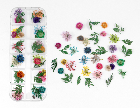 Flori si Frunze Uscate - Flori si Frunze decorative uscate - 36buc - Lace Flowers, Leaves