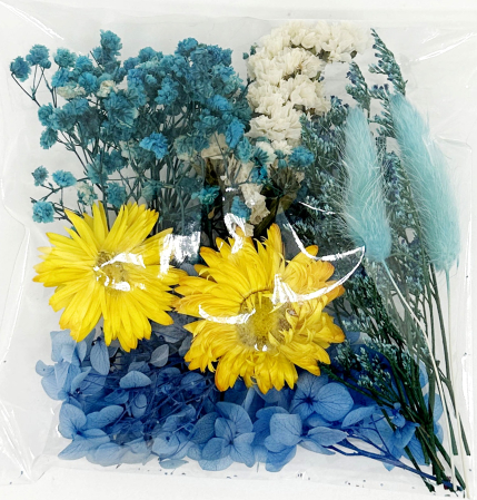 Plante si Flori Conservate / Uscate - Flori si frunze naturale cu Floarea Miresei, 15g