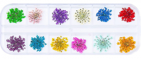 Flori si Frunze Uscate - Flori uscate decorative - 12buc