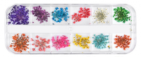Flori si Frunze Uscate - Flori uscate decorative - 24buc