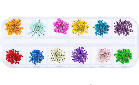 Flori si Frunze Uscate - Flori decorative uscate - Lace Flowers