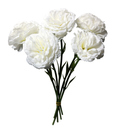 img-attr