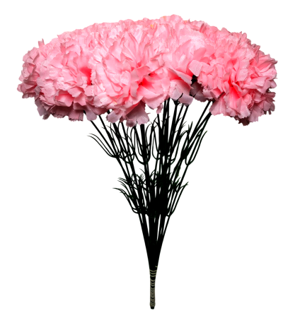 img-attr