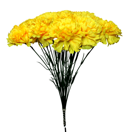 img-attr