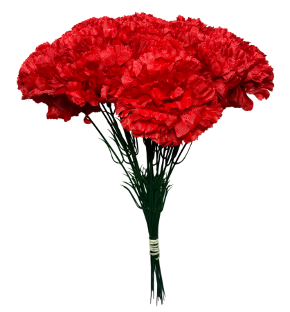 img-attr