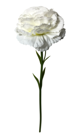 img-attr