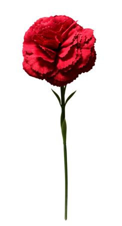 Flori Artificiale cu Tulpina - Garoafa artificiala din matase, la Fir, L 30cm
