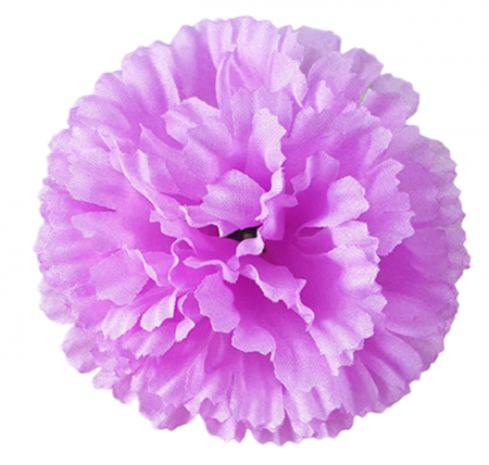 img-attr