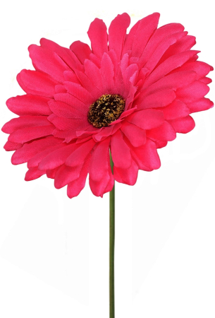 img-attr