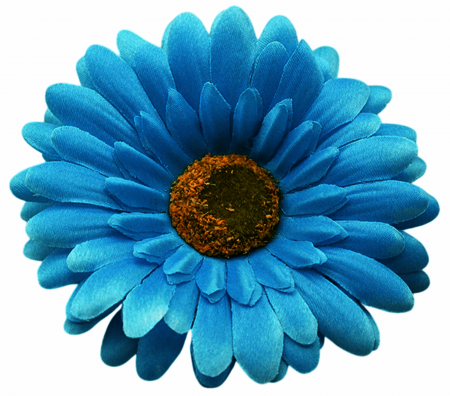 img-attr