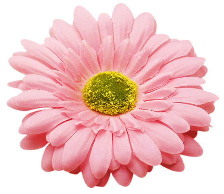 img-attr