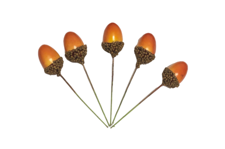 Fructe si Bobite de Ilex Decorative - Ghinde Decorative - Set 5buc