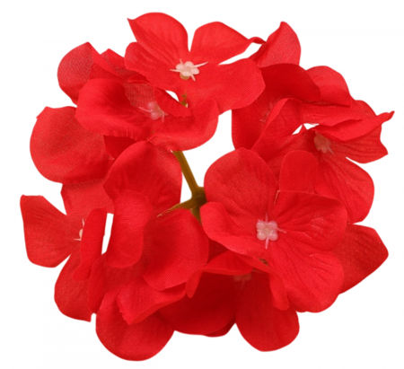 img-attr