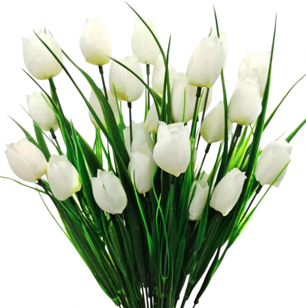 img-attr