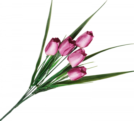 img-attr