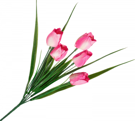 img-attr
