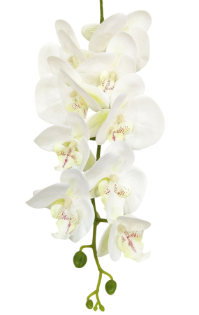 PLANTE SI FLORI ARTIFICIALE - Orhidee artificiala din PU, la Fir, cu 9 capete, L 105cm