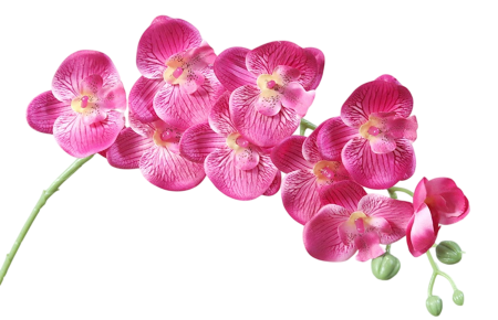 PLANTE SI FLORI ARTIFICIALE - Orhidee artificiala din matase, la Fir, cu 9 capete, L 70cm