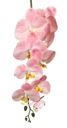 PLANTE SI FLORI ARTIFICIALE - Orhidee artificiala din PU, la Fir, cu 9 capete, L 105cm