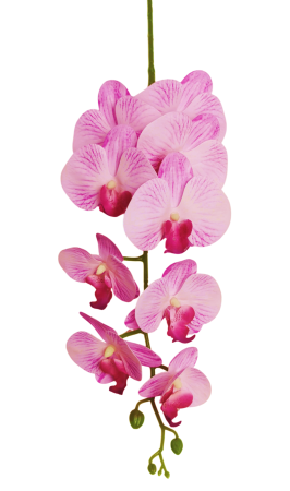 Orhidee - Orhidee artificiala din PU, la Fir, cu 9 capete, L 105cm