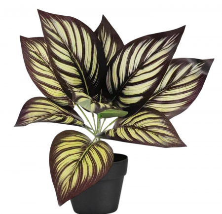 Plante - Planta Artificiala Decorativa, h 33cm - Calathea Purple