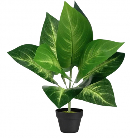 Plante - Planta Artificiala Decorativa, h 33cm - Dieffenbachia "Maroba"