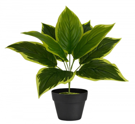 Plante - Planta Artificiala Decorativa, h 35cm - Yellow Edges Leaves