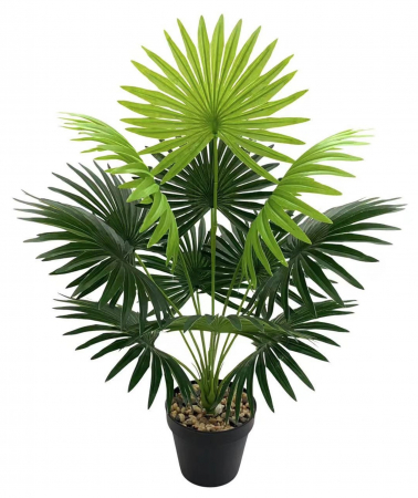 Plante - Planta Artificiala - Tropical Tung Palm, h 60cm