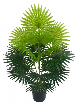 Plante - Planta Artificiala - Tropical Tung Palm, h 72cm