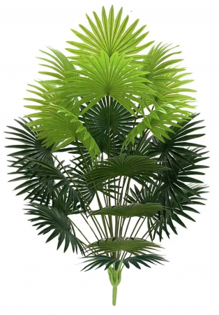 PLANTE SI FLORI ARTIFICIALE - Planta Artificiala - Tropical Tung Palm, h 80cm